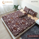 Sprei Cleoparta Teralis Brown
